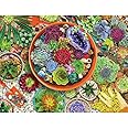 Springbok 500 Piece Jigsaw Puzzle Succulent Garden - Made in USA