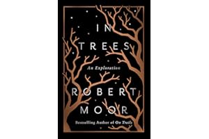 In Trees: An Exploration