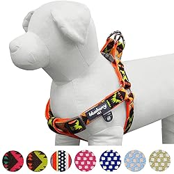 Blueberry Pet 2 Colors Soft & Comfy Step-in