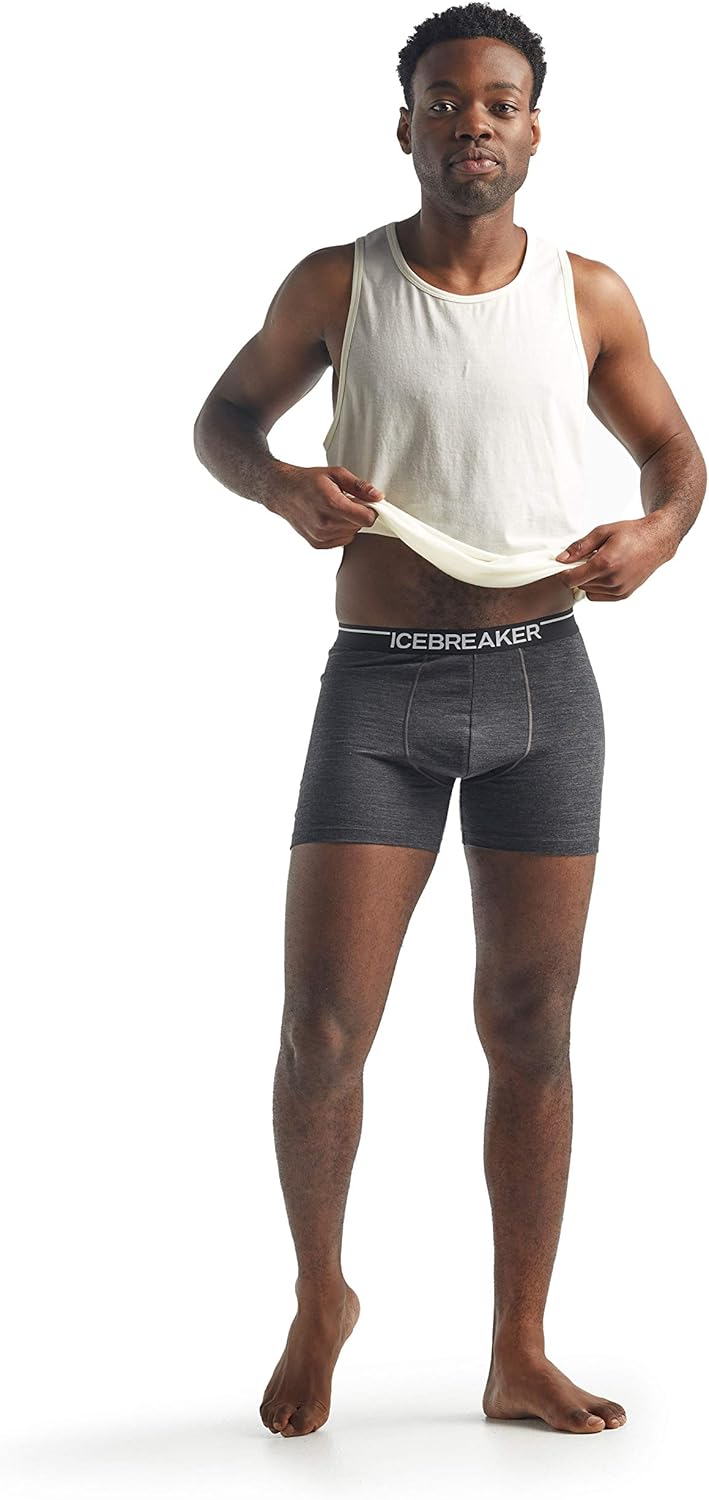 Icebreaker Merino Men's Anatomica Boxer Underwear: Clothing
