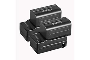GVM GREAT VIDEO MAKER GVM 2 Pack NP-F750/770 4400mAh Batteries with Travel Chargers for NP-F975, NP-F960, NP-F950, NP-F930, NP-F770, NP-F750, NP-F550, DCR, DSR, HDR, FDR, HVR, HVL and LED Light