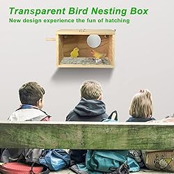 Parakeet Nesting Box, Transparent Bird Box Bird