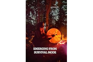 Emerging from Survival Mode: Feeling Safe, the foundation for any kind of healing