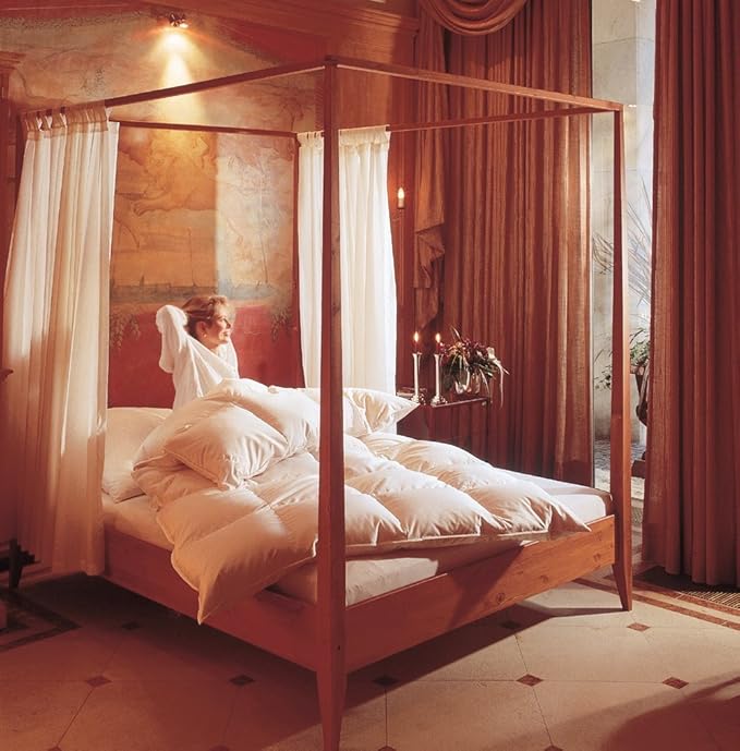 Daunendecke Daunenbett Bettdecke Klasse I Premium Ganzjahresdecke ...