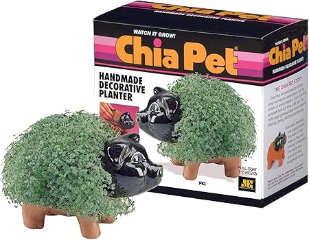 Amazon.com: Chia Pet Pig – 1 cada: Jardín y Exteriores