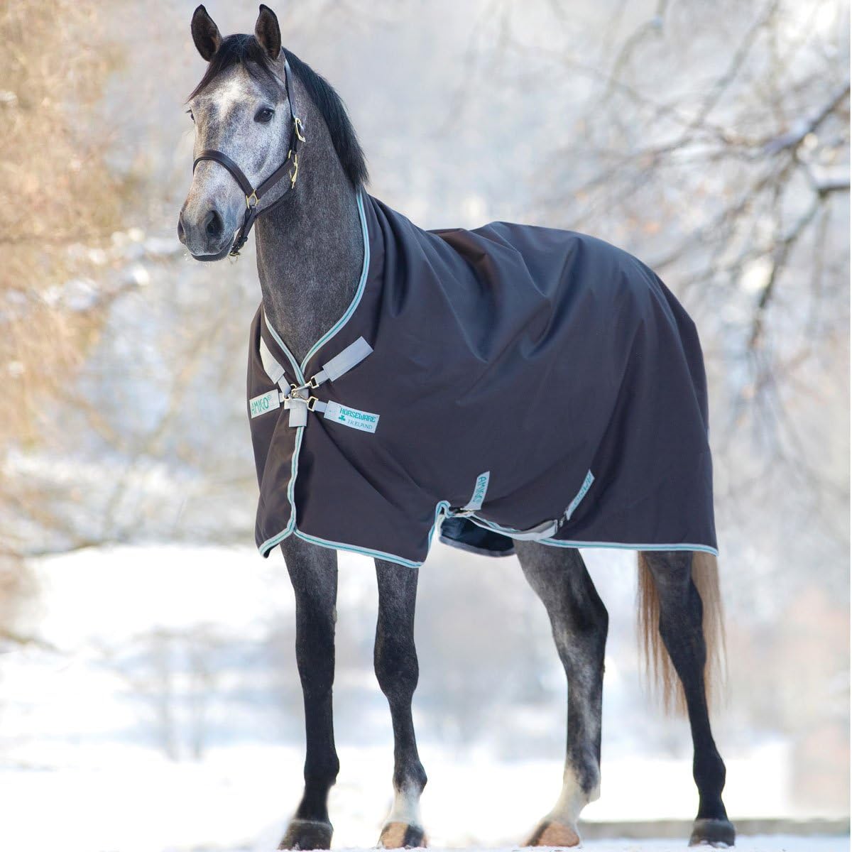 Horseware Amigo Bravo 12 Wug medium excalibur Größe 115165 (125