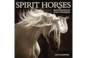 Spirit Horses 2027 Wall Calendar by Tony Stromberg