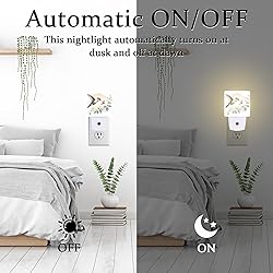 Groovy Hummingbird Flower Night Light for