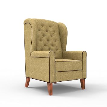 Forzza Siena Wing Chair Oak Brown Chenille with Dark Brown Piping
