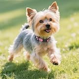 Joytale Reflective Dog Collar XS Pink Neoprene Padded Adjustable Neck 20-28cm view 2