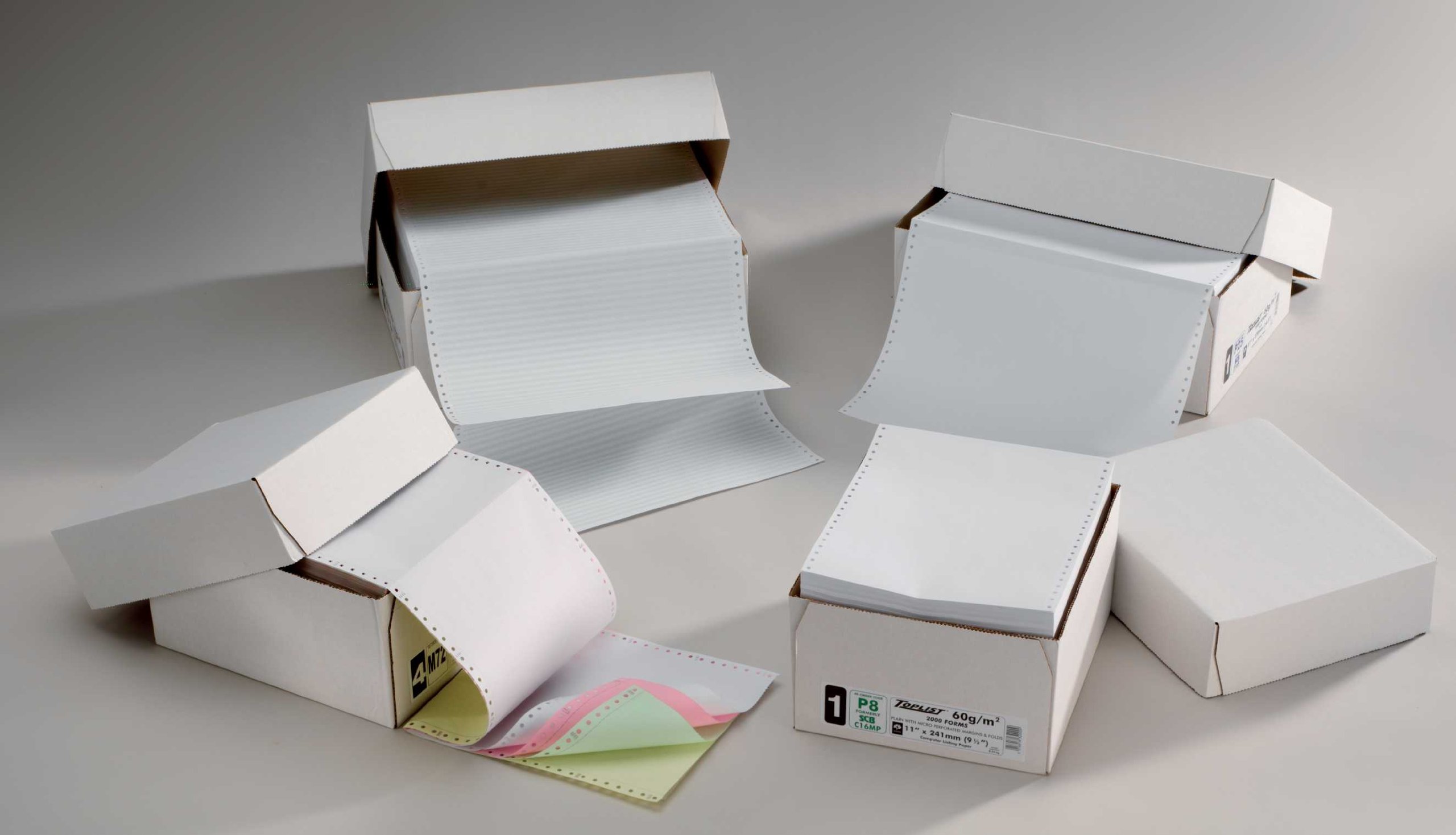 Integrity Print M69 11 x 241 2-Part Plain Value Listing Paper