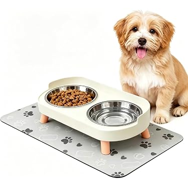 Amazon.com New Releases: The best-selling new & future releases in Dog  Raised Bowls