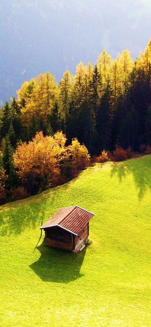 PeelitStickit, Beautiful Nature Wall Murals, ID-3123, vinyl