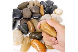 BIOTOLOT 2LB 1"-2" Decorative River Rocks for Plants, Polished Pebbles for Garden Landscaping, Planters, Aquariums, Vase Fillers – Indoor & Outdoor Decor