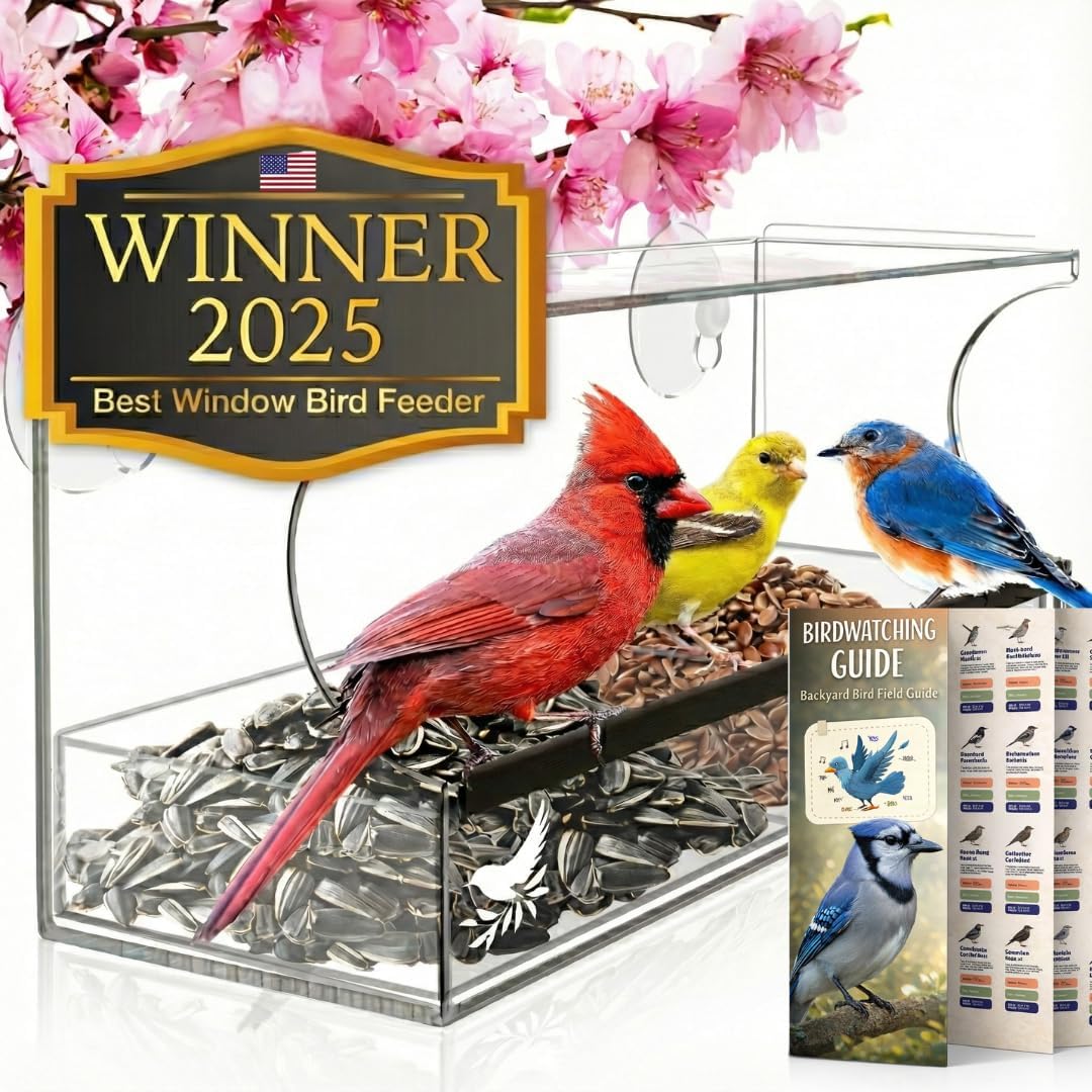Window Bird Feeders with Strong Suction Cups, Clear Window Bird Feeder for Outside - Transparent Bird House, Balcony Glass Mount, Acrylic Cat, Kids & Elderly Viewing Clear Bird Feeder for Window Perch