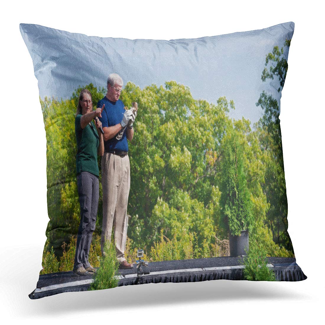 Amazon Com Emvency Throw Pillow Cover Hastings Mn Usa A