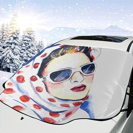 window shade sunglasses