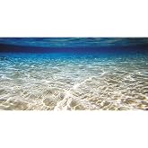 24x12 in Ocean Floor Aquarium Backdrop Underwater Fish Tank Background | AWERT Undersea Theme Aquarium Background