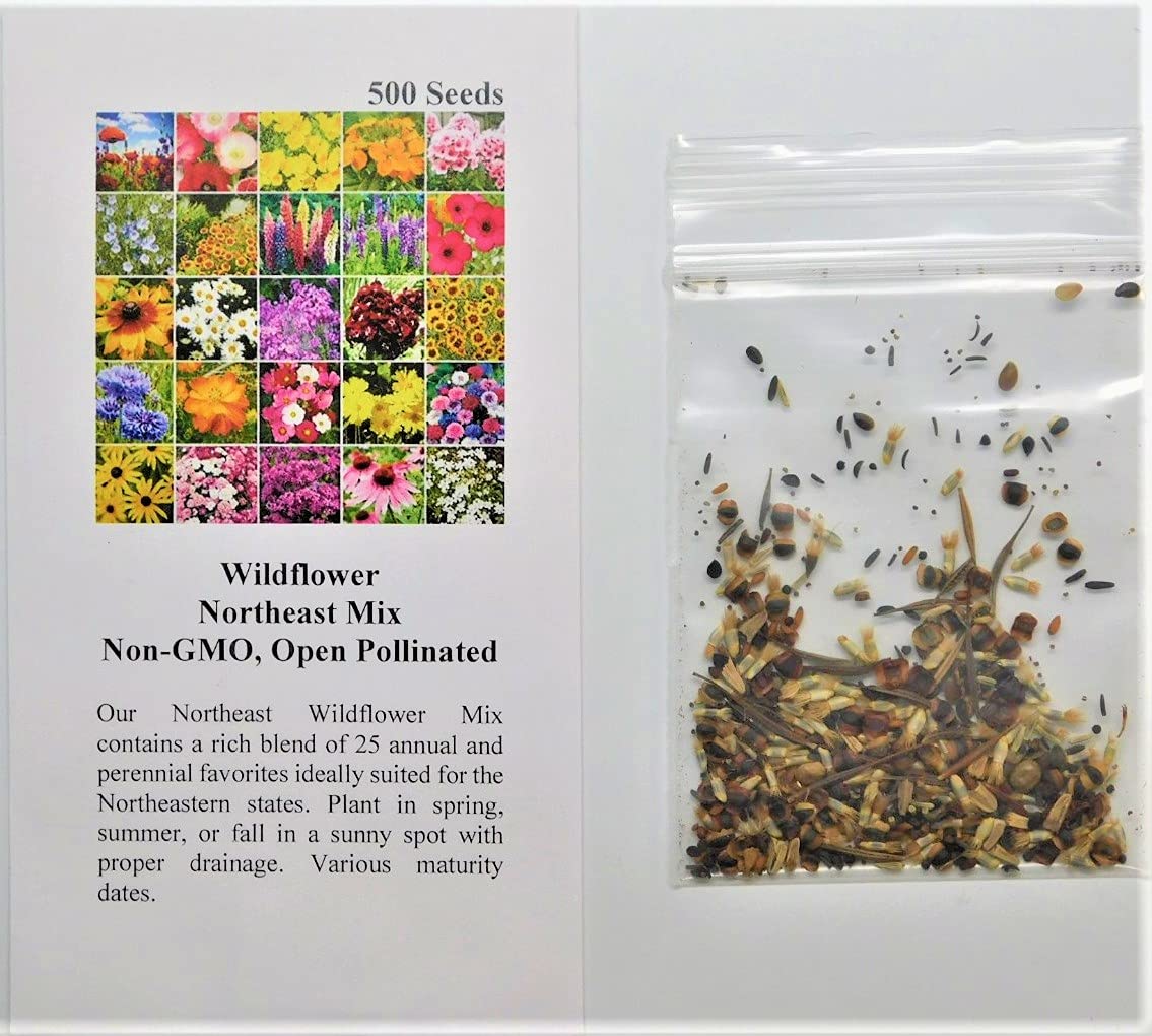 Wildflower Northeast Mix FBA-1434 (Multi) 200 Non-GMO, Heirloom Seeds