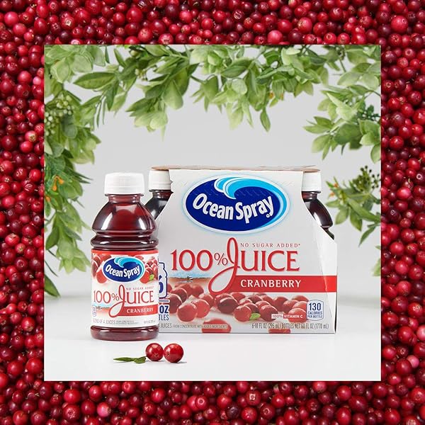 OCEAN SPRAY 100% JUICE, CRANBERRY, 10 FL OZ (PACK OF 6)