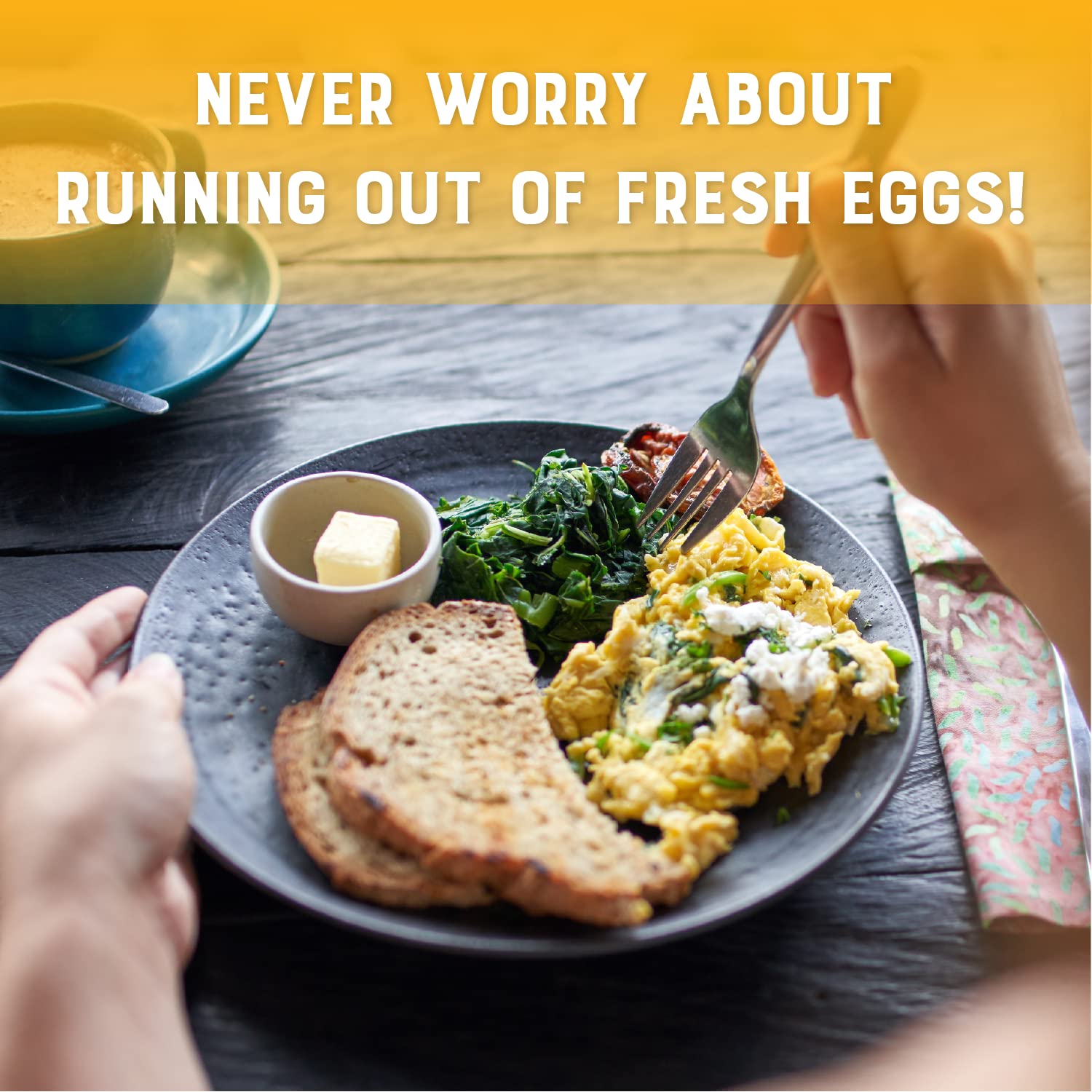 Judee’s Dried Whole Egg Powder 11 Oz Baking Supplies Delicious