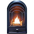 ProCom Dual Fuel Ventless Gas Fireplace Insert with Thermostat Control, 5 Hand-Painted Fire Logs, Use with Natural Gas or Liquid Propane, 15000 BTU, Heats up to 800 Sq. Ft., Elegant Black Design