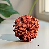 Shiva Lingam Shop Certified Natural 3 Mukhi Rudraksha from Nepal - Authentic Three-Faced Bead for Spiritual Balance, Meditation, and Positive Energy, Showing as Image