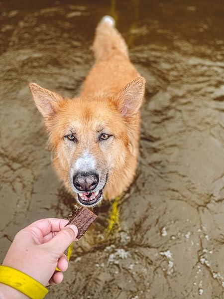 TENDER & TRUE ORGANIC TURKEY JERKY TREAT, 4 OZ BAG