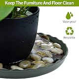 TStarJungle 5 Pack Plant Saucers 15cm Thick Durable Drip Trays Indoor Outdoor view 2