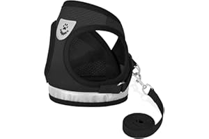 GAUTERF Cat Harnesses and Puppy Harness with Leashes Set, Escape Proof Cat Harness, Adjustable Reflective Soft Mesh Vest Fit Puppy Kitten Rabbit Ferrets's Outdoor Harness