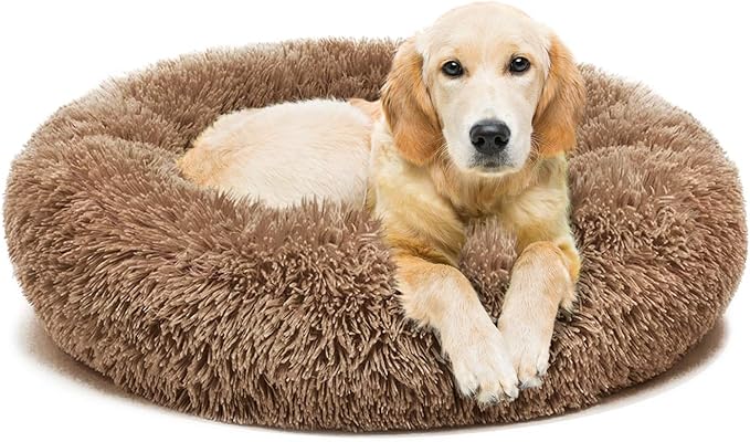 durable dog beds for large dogs