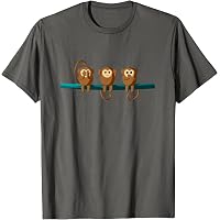 Amazon.com: See No Evil Hear No Evil Speak No Evil 3 Wise Monkeys