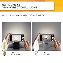 Hizashi Candelabra LED Light Bulbs, E12 LED Bulb
