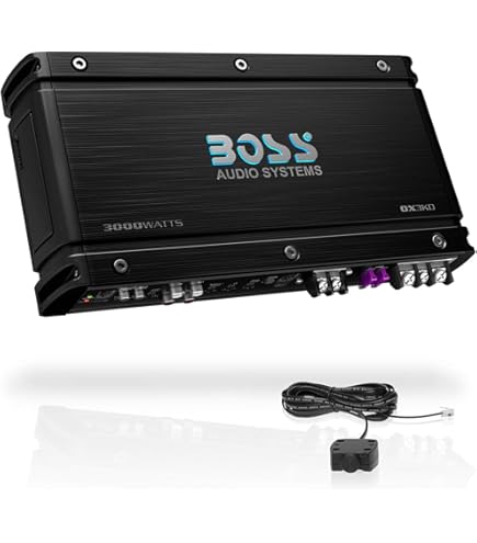 Amazon.com: BOSS Audio AR2000M Armor 2000 Watt Monoblock Class Car