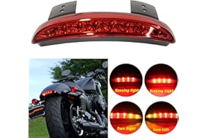 Rich Choices Motorcycle Chopped Rear Fender Edge LED Brake License Plate Tail Light Stop Running Light Turn Signal Lamp for Harley Sportster XL883N 1200N XL1200V XL1200X (Red Lens)