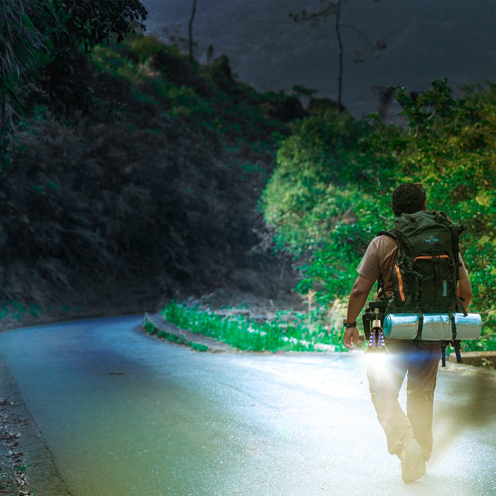 Bug Zapper Bulb- [2018 Upgraded] 2 in 1 Mosquito Killer Lamp & LED Night Light / USB and Solar Charging / Lightweight Lantern for Indoor / Outdoor, Home / Camping