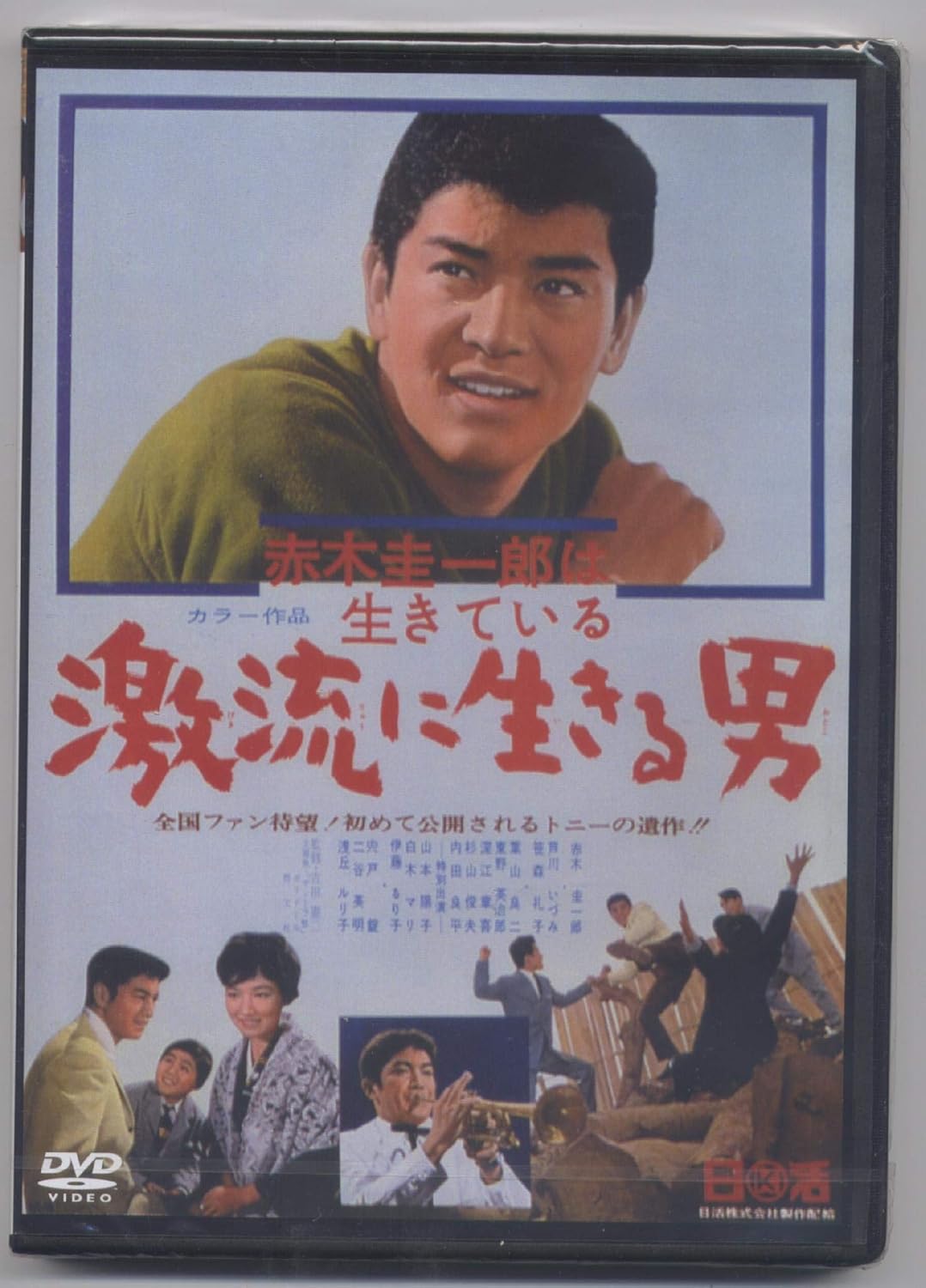 Amazon 赤木圭一郎は生きている 激流に生きる男 Nyk 802 Dvd 映画