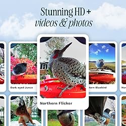 BIRD BUDDY® Original Smart Bird Feeder with
