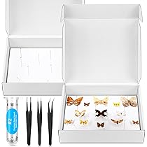 Insect Display Case With Clear Glass Top, EVA Foam Pinning Board Riker ...