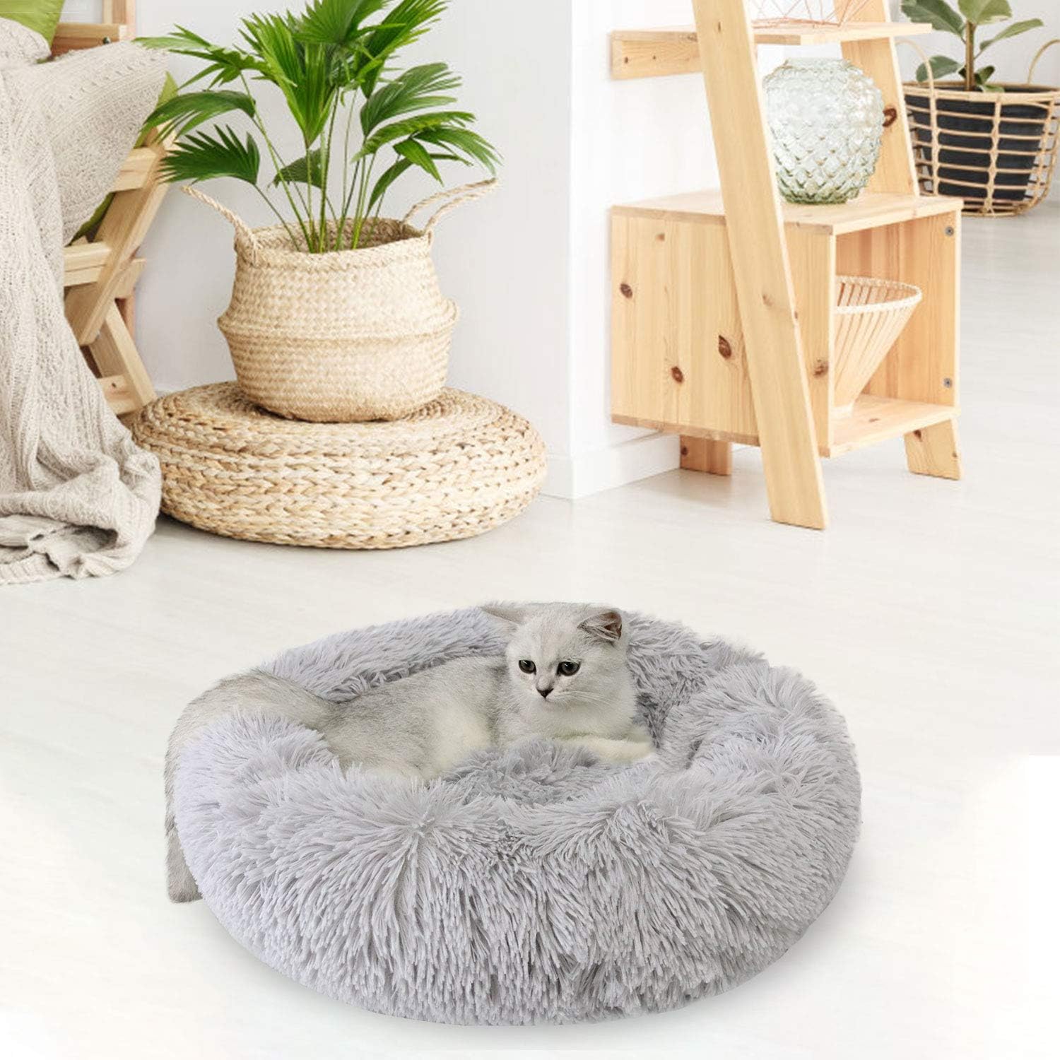 Dorakitten Cat Bed, Cat Bed for Indoor Cats Bed with Blanket Cat Bed Round Kitten Cushion Bed, Faux Fur Cat Beds for Small Cat and Small Dog, Plush Soft Cat Sleeping Bed: Kitchen & Dining