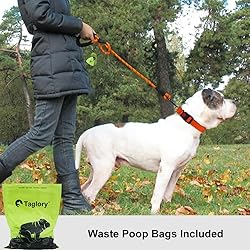 Taglory Rope Dog Leash 5 FT with Comfortable Padded