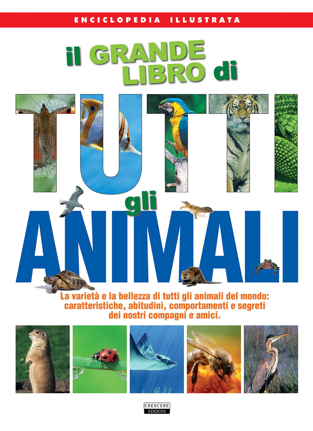 Amazon It Il Grande Libro Di Tutti Gli Animali Aa Vv Libri