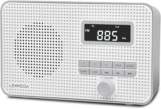 portable fm radio with bluetooth