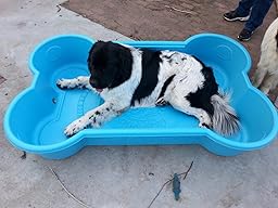 Amazon.com : One Dog One Bone Dog Pool (Bone Shaped) : Pet Supplies