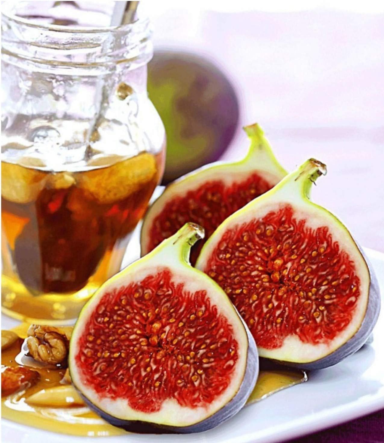 Earth Seeds Co 50 Pcs Fig 'Brown Turkey' Plant Fig Seeds Hardy Shrub, Specially Selected for The UK Climate Ideal for a Container on The Patio