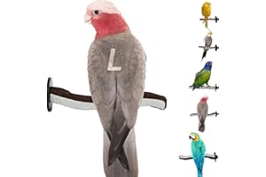 Sweet Feet and Beak Superoost Manzanita Pumice Pedicure Perch- Easy to Install Bird Cage Accessories for Healthy Feet, Nails and Beak - Natural Bird Perches Imitates Birds' Life in The Wild - L 12"