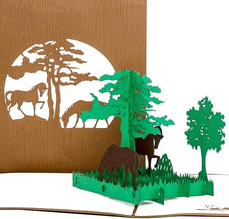 Pop Up Karte Wildpferde In Natur Pferde Karten In 3d Als Geburtstagskarte Geschenk Einladungskarten Zum Geburtstag Kindergeburtstag Dekoration Deko Pferd Modell Geschenkverpackung Amazon De Kuche Haushalt