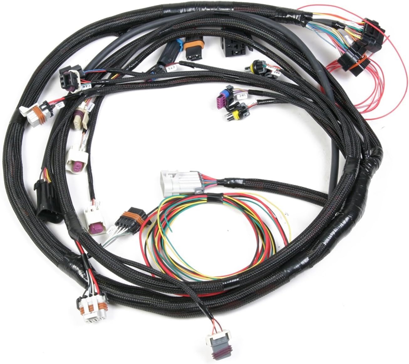 Holley 558-103 LS2 Main Harness