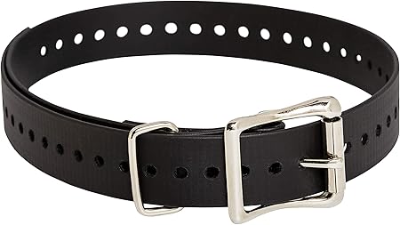 sportdog pet collars