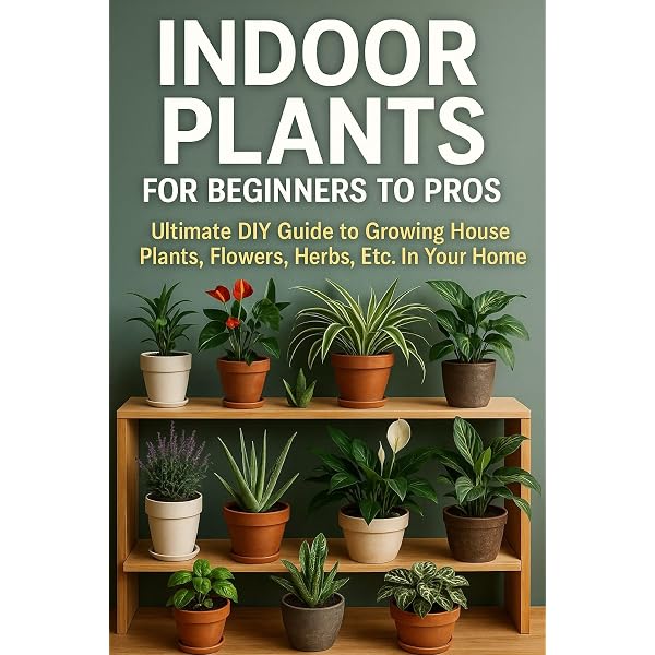 plant painted lady Philodendron 'Painted Lady' – Foliage Factory main image 1